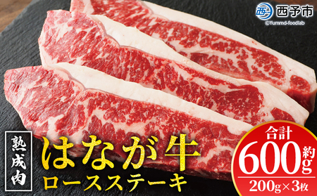＜熟成肉 はなが牛 ロースステーキ 3枚（1枚200g）＞ 牛肉 牛 肉 ろーすすてーき ステーキ サーロイン ブランド牛 鉄板焼き 焼き肉 焼肉 バーベキュー BBQ 国産 小分け 特産品 愛媛県 ゆうぼく 西予市【冷凍】『2か月以内に順次発送』UYB0008