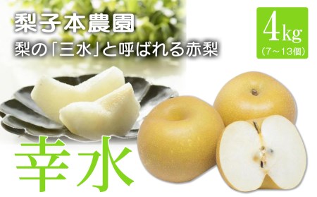 梨子本農園の梨（幸水）4kg（7～13個入）| フルーツ 果物 くだもの 梨 なし ナシ 奈良 五條市