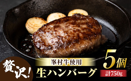 【信州プレミアム牛100%】生ハンバーグ5個セット｜ 第57回農林水産祭 内閣総理大臣賞（畜産部門）受賞 牧舎みねむら 峯村牛