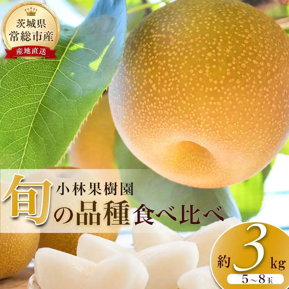 【先行予約】小林果樹園の梨 食べ比べ5～8玉  約3kg　※2026年9月～発送