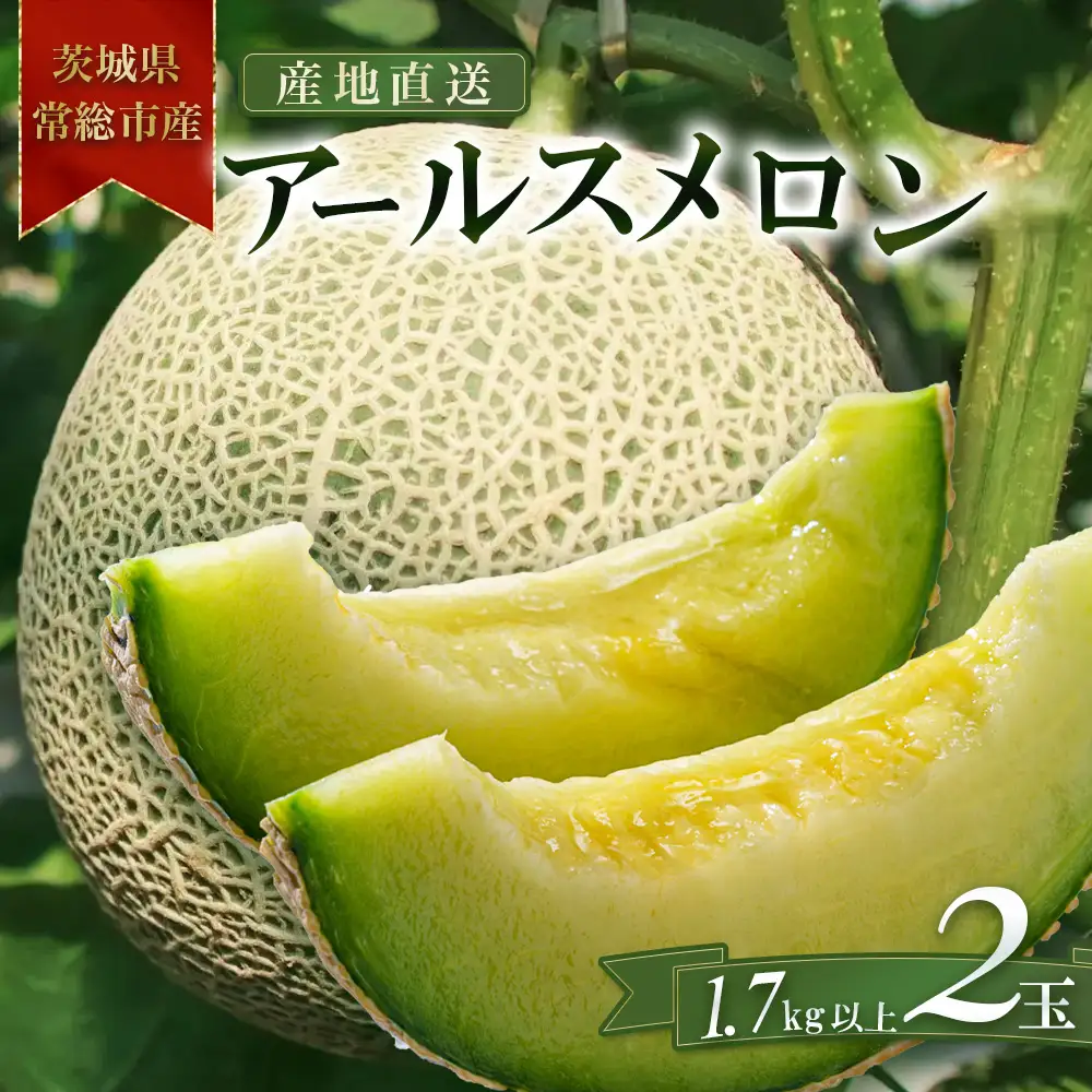 【先行予約】増田さんちのアールスメロン2玉 1.7kg以上×2玉 ※2026年9月～発送 | くだもの 果物 フルーツ デザート めろん 常総市
