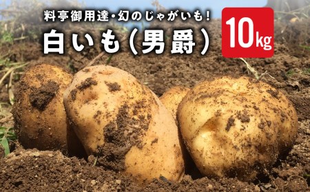 料亭御用達！東御市産白いも10kg｜じゃがいも【数量限定】｜御牧八重原農園 ※2026年8月下旬～10月下旬に順次発送予定※着日指定不可