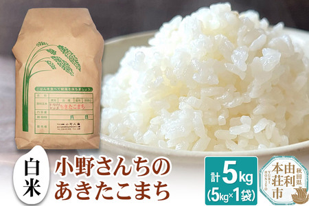 【白米】小野さんちのあきたこまち(5kg×1袋) 計5kg 令和7年産