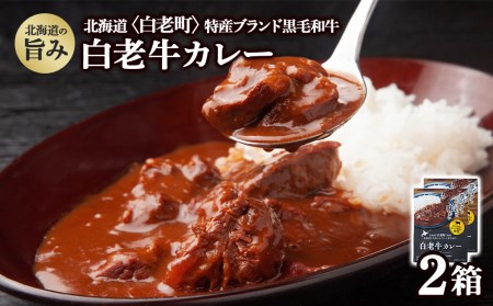 カレー レトルト 白老牛カレー 180ｇ×2箱 QA033
