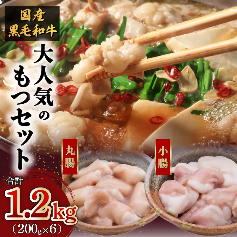黒毛和牛 ！大人気の もつ （ ホルモン ）セット K002-006 肉 牛肉 冷凍