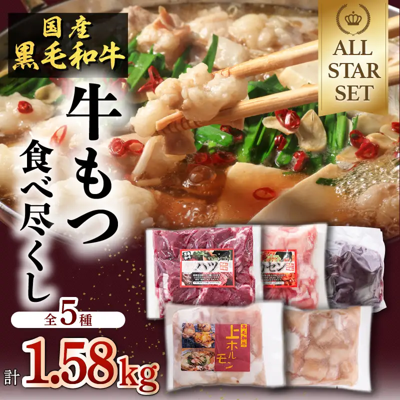 牛 もつ （ ホルモン ） 食べ尽くし ！ オールスター セット K002-008 肉 牛肉 冷凍