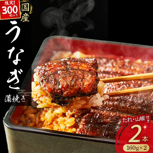 四万十うなぎ 蒲焼き（160g×2本） うなぎ 国産鰻 土用の丑の日 ／Esu-A124