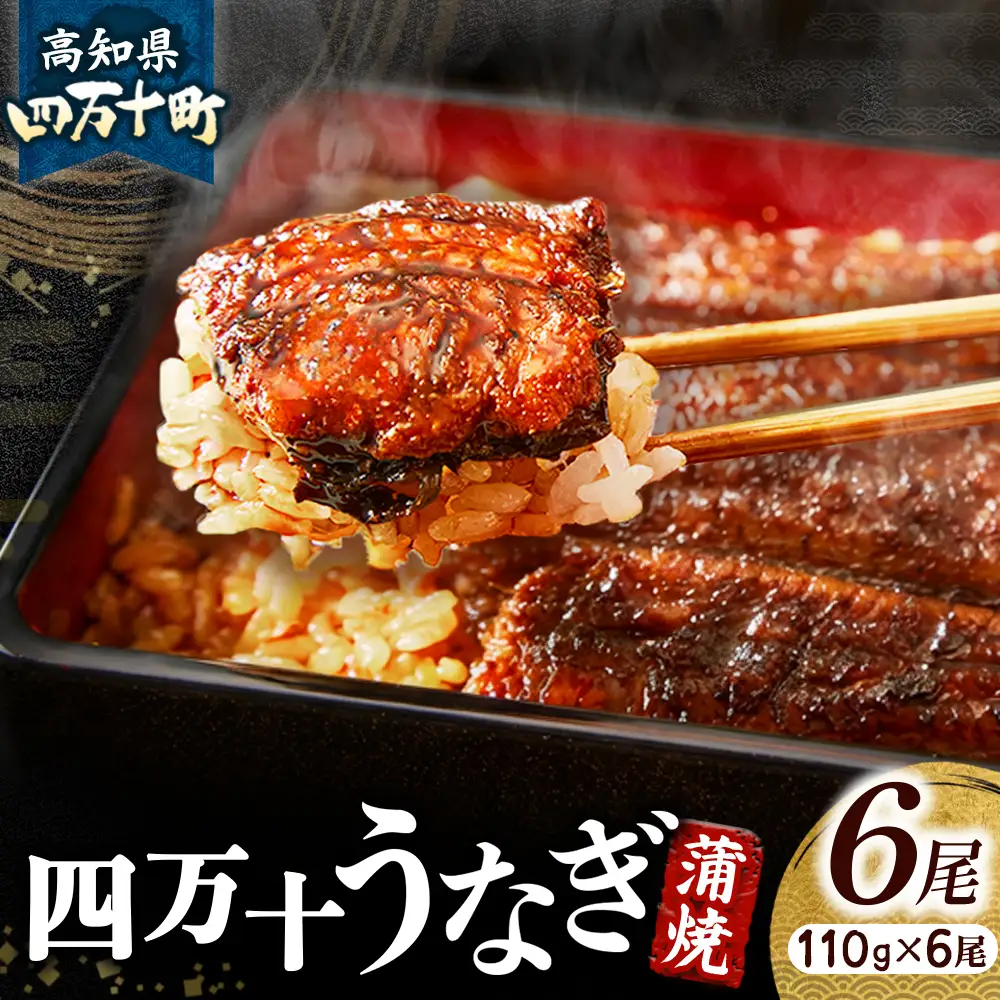 四万十うなぎ 蒲焼き (110g×6尾) うなぎ 国産鰻 土用の丑の日 ／Esu-125