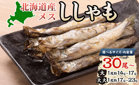ししゃも魚貝類北海道産メス大干物ししゃも【30尾】