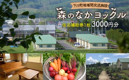 下川町 地域間交流施設 森のなかヨックル 宿泊補助券 3000円 北海道 コテージ F4G-0117