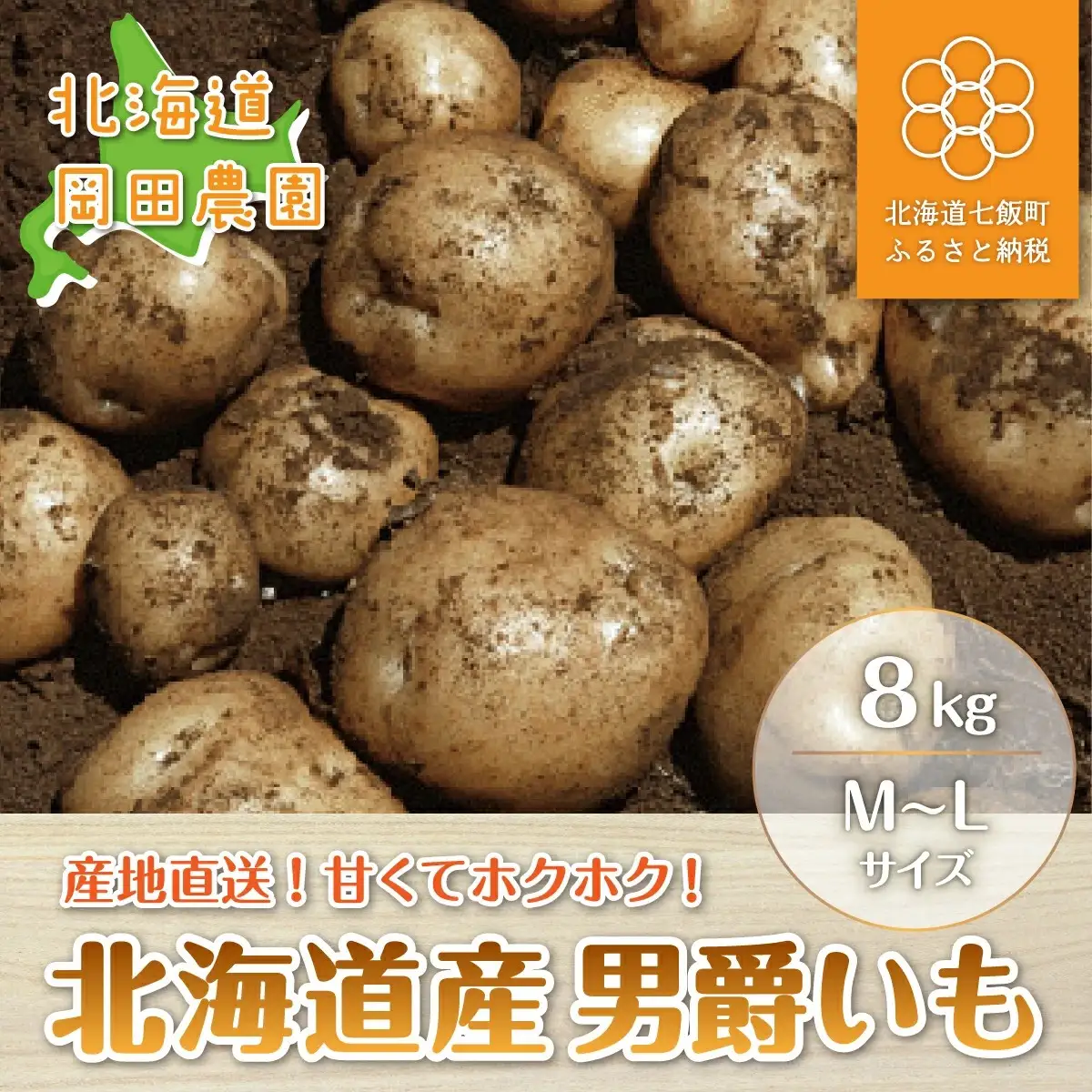 【先行予約 令和8年10月上旬発送】北海道産じゃがいも「男爵」8kg NAZ005