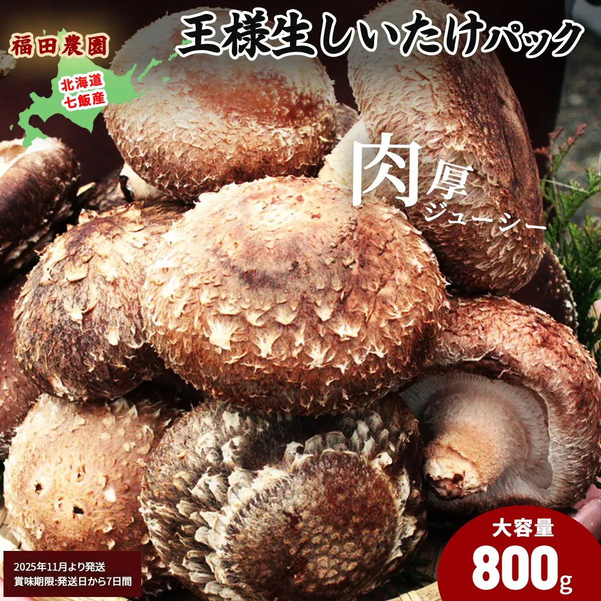 王様生しいたけパック 大容量800g 福田農園 NAT004