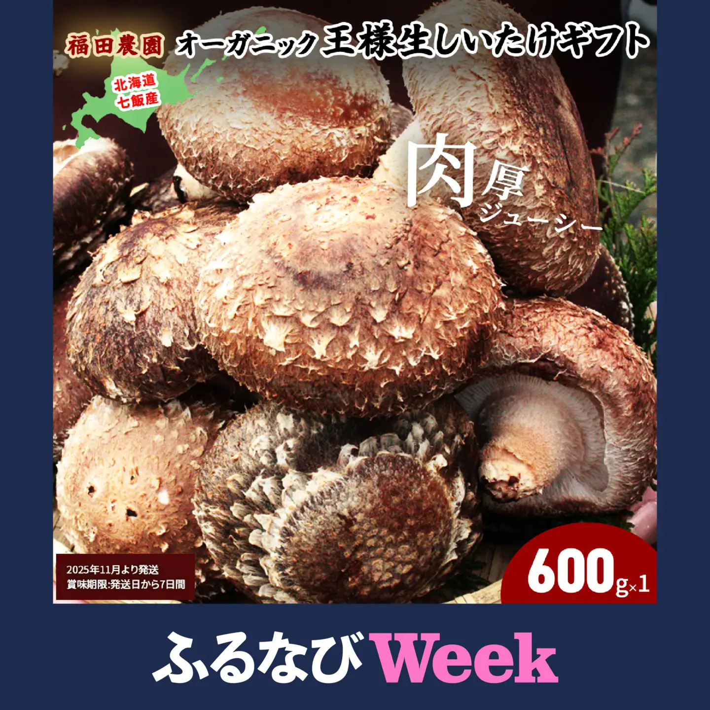 【ふるなびWEEK対象】オーガニック王様生しいたけギフト 肉厚ジューシー 福田農園 NAT001