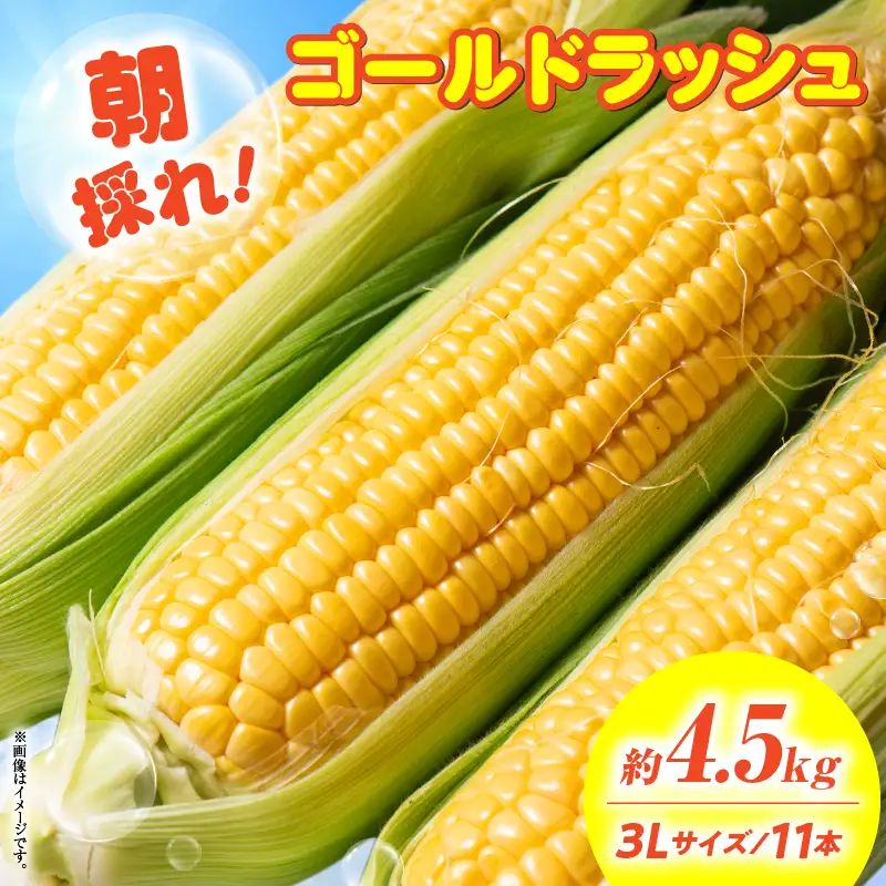 朝採れ！国富町産ゴールドラッシュ4.5kg3L11本_kn028-002