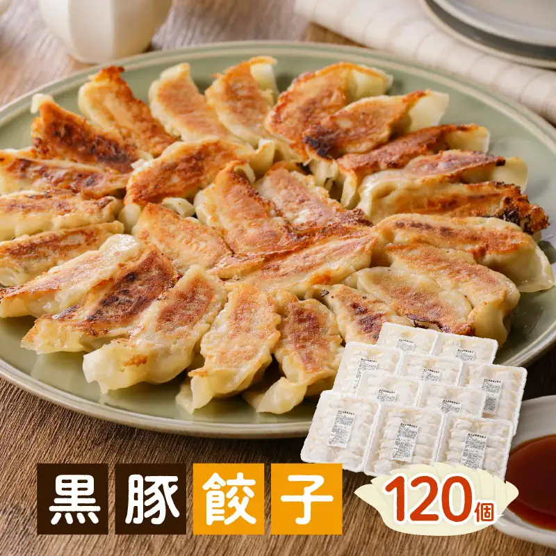 国産素材にこだわった黒豚餃子120個 K111-015 肉 豚肉 惣菜 総菜 冷凍
