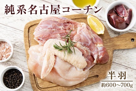 純系名古屋コーチン (半羽)【0871】