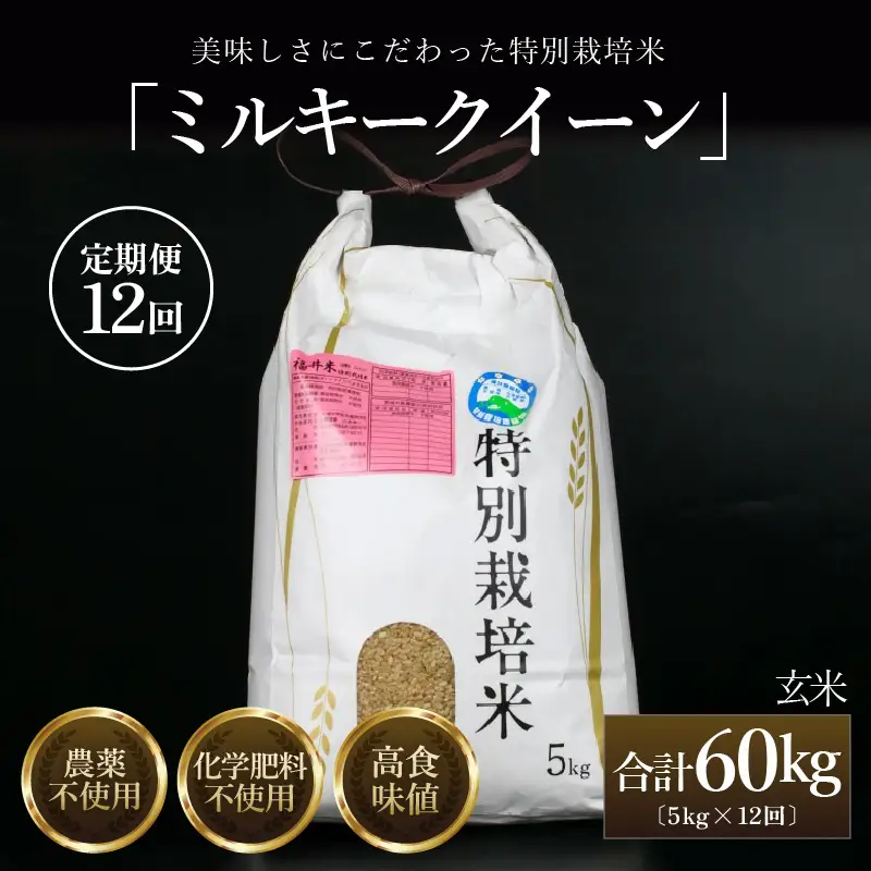 【先行予約】【令和8年産 新米】定期便《12ヶ月連続お届け》 特別栽培米 ミルキークイーン 玄米 5kg （計60kg） 農薬不使用 化学肥料不使用 ／ 高品質 鮮度抜群 福井県産 ブランド米 あわら産 ブランド米 ※ 2026年10月上旬以降順次発送 [aw063-n002]
