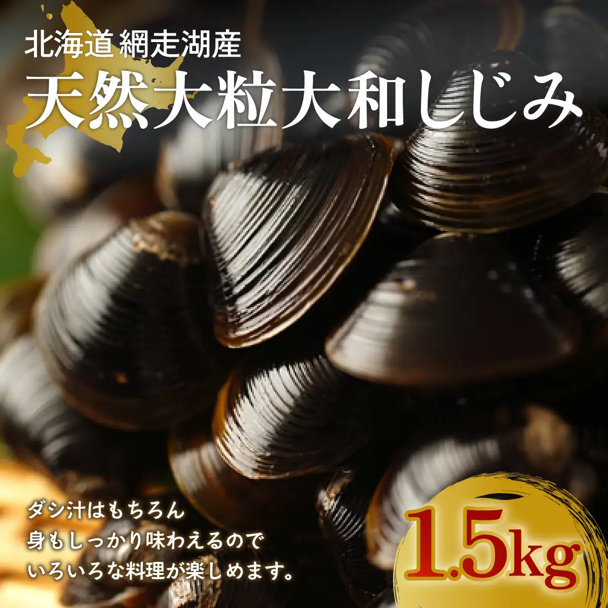 厳選！網走湖産大粒天然大和しじみ1.5kg  OSA010 | しじみ