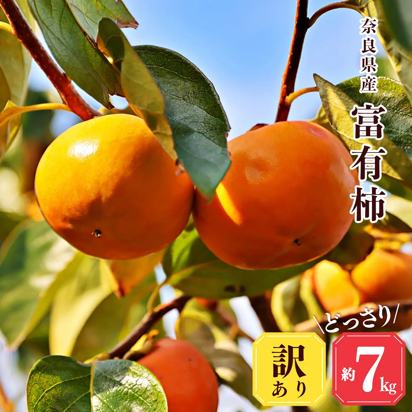 【 堀うち農園 】どっさり 約 7kg 訳あり 富有柿 | 人気 国産 産地直送 秋 旬 送料無料 大容量 特産品 家庭用 奈良県 五條市