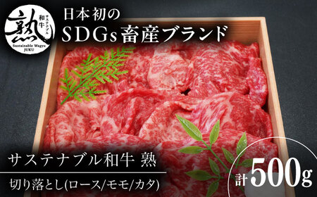 赤身 和牛 厳選 切り落とし 500g  [AIAT018] 牛肉 切り落とし