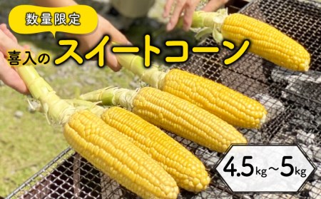 喜入のスイートコーン 4.5kg～5kg K141-003