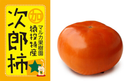 2026＜先行受付＞【大玉】次郎柿 約4kg(15玉)【2026年11月上旬以降順次発送】