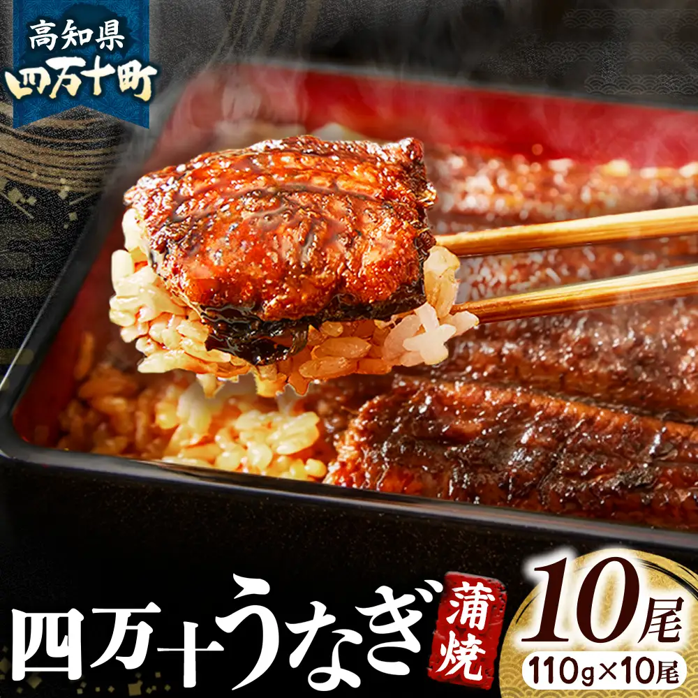 四万十うなぎ 蒲焼き (110g×10尾 ) うなぎ 国産鰻 土用の丑の日 ／Esu-117