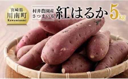 【令和８年産】紅はるか 5kg 【 宮崎県産 九州産 いも 芋 サツマイモ 野菜 】
