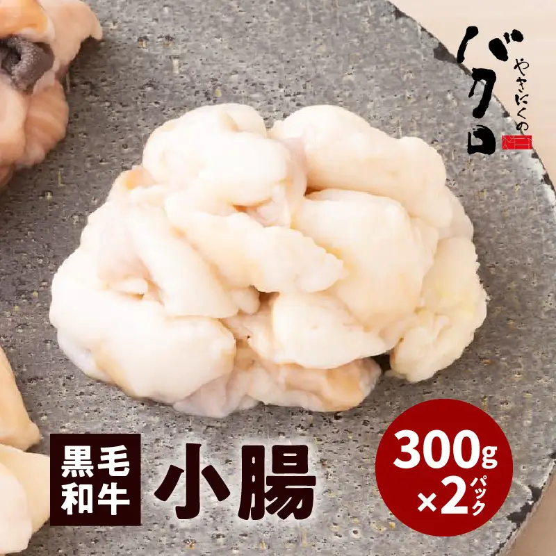 黒毛和牛 小腸 （ ホルモン ） 300g 入り × 2パック K130-002 肉 牛肉 冷凍