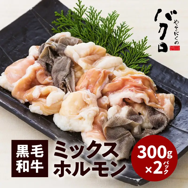 黒毛和牛ミックスホルモン300g入り×2パック K130-003 肉 牛肉 冷凍