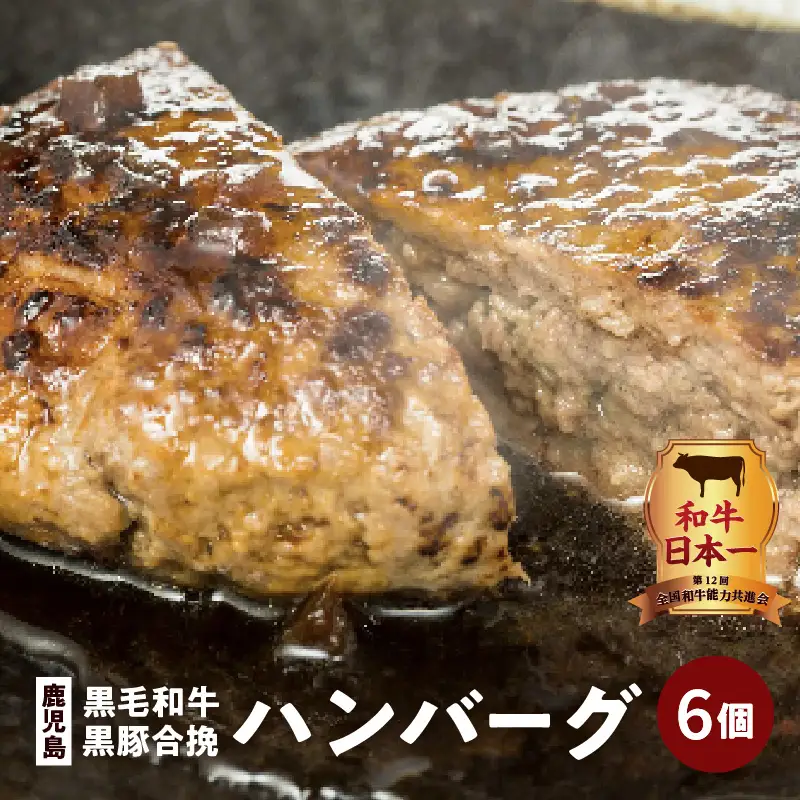 鹿児島黒毛和牛×鹿児島黒豚合挽ハンバーグ（湯煎タイプ・ソース入り）6個 K130-007 肉 豚肉 牛肉 惣菜 総菜 冷凍