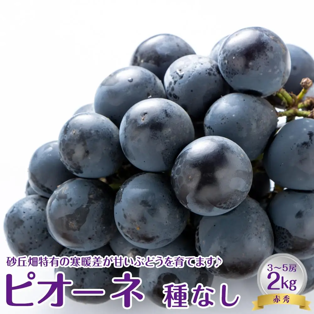 【先行予約】【ＪＡ】 ピオーネ 種なし 赤秀2kg箱（3～5房入）※着日指定不可 ※離島への配送不可 ※2026年8月初旬頃～8月下旬頃に順次発送予定 |ピオーネ