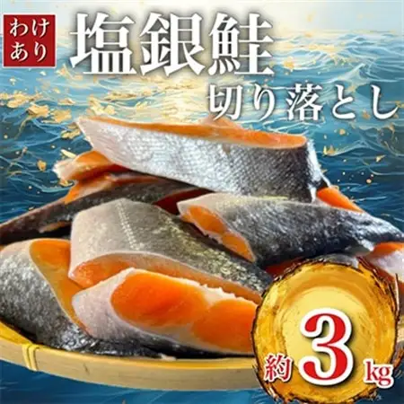 【訳あり】人気の海鮮お礼品 チリ産 定塩 塩銀鮭切り落とし(端材)約3kg_鮭 サケ さけ 訳あり おすすめ_【配送不可地域：離島】【1389616】