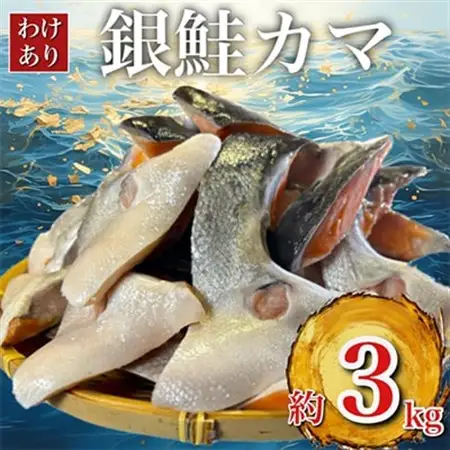 【訳あり】人気海鮮お礼品 銀鮭カマ 約3kg_鮭 サケ さけ 訳あり おすすめ_【配送不可地域：離島】【1389618】