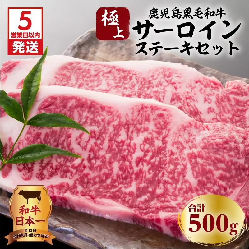 【5営業日以内に発送】鹿児島黒毛和牛の極上サーロインステーキセット 500g K134-003 肉 牛肉 冷凍 スピード配送 最短 すぐ届く お急ぎ