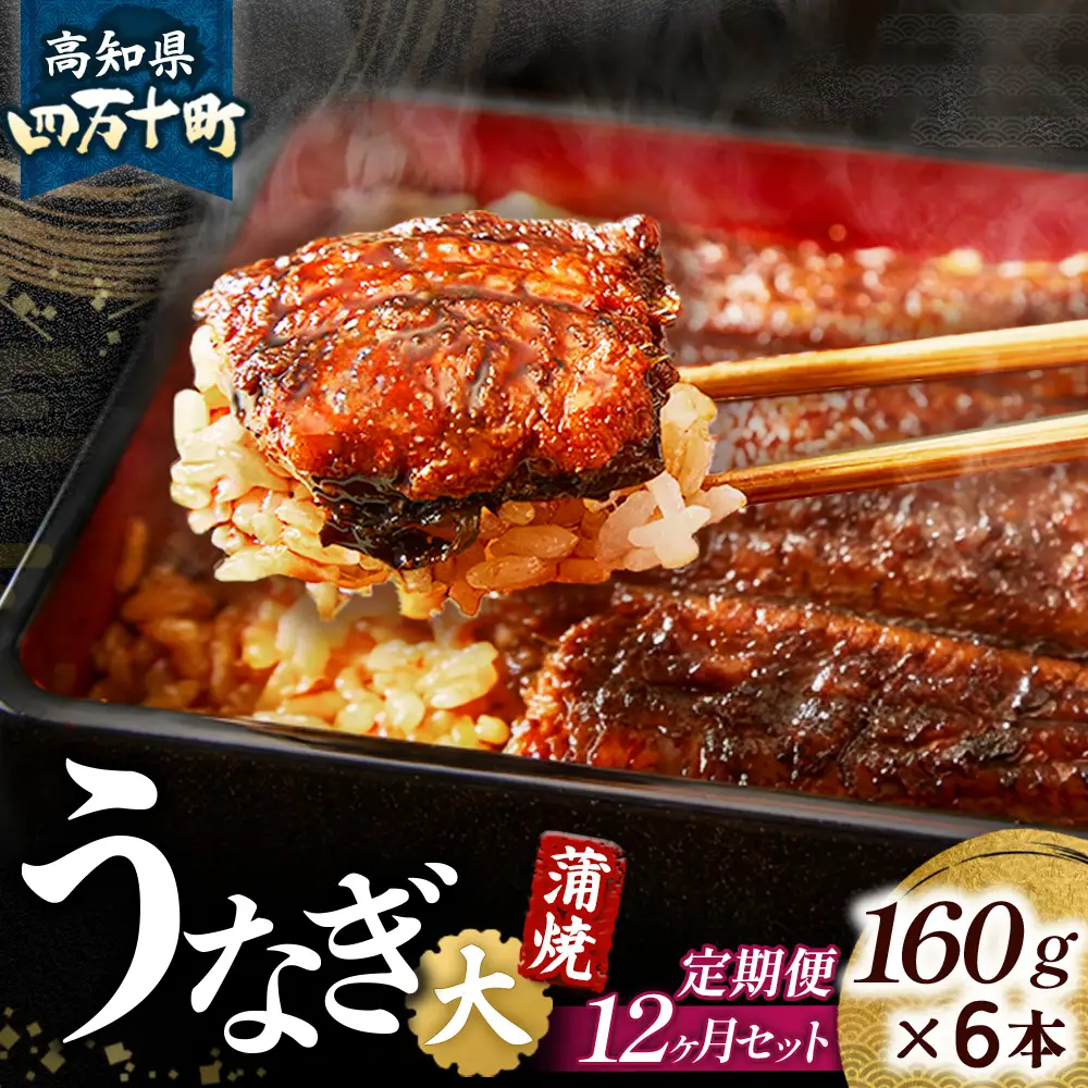 【鰻大好き定期便】四万十うなぎ 蒲焼き≪大≫12カ月定期 160gx6本／ うなぎ 国産鰻 土用の丑の日