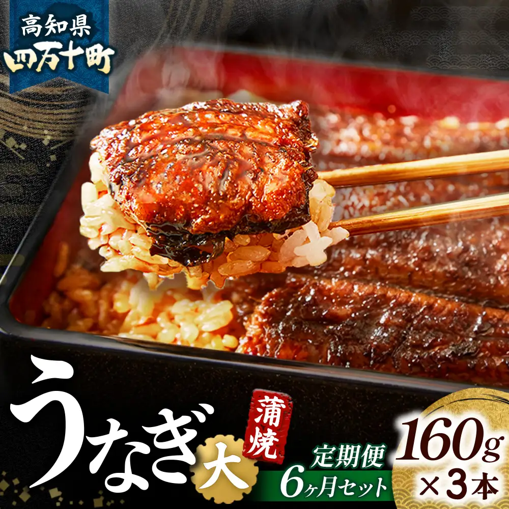 【鰻大好き定期便】四万十うなぎ 蒲焼き≪大≫ 6カ月定期 160gx3本／ うなぎ 国産鰻 土用の丑の日