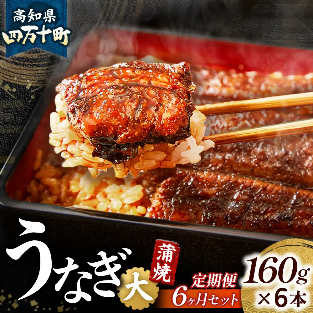 【鰻大好き定期便】四万十うなぎ 蒲焼き≪大≫ 6カ月定期 160gx6本／ うなぎ 国産鰻 土用の丑の日