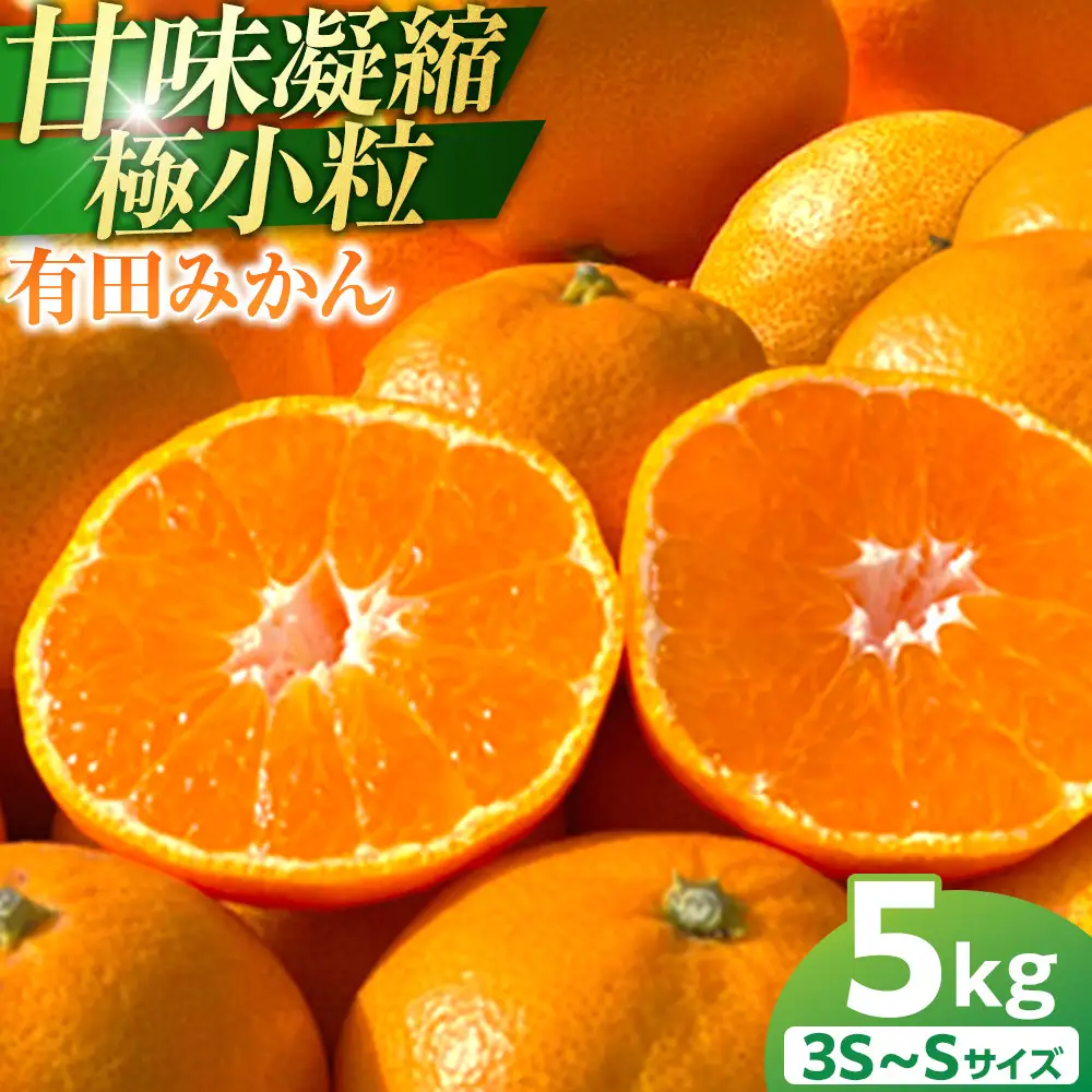 有田みかん 小粒 5kg みかん 甘味凝縮 産直45年 5代目 武内園 完熟