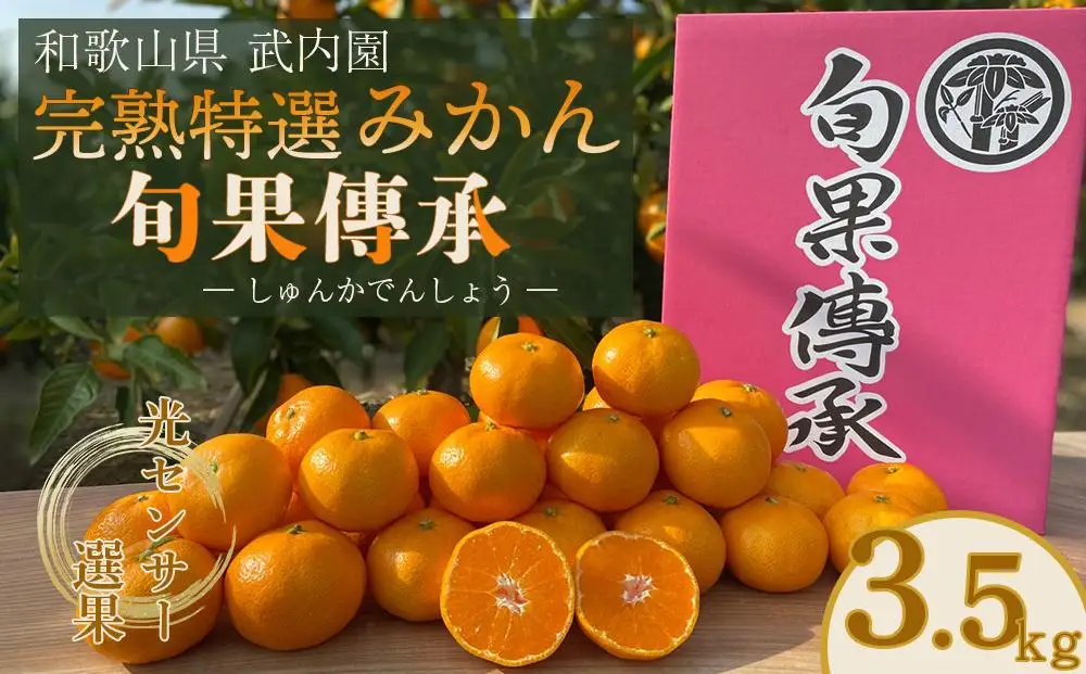 【先行受付】 贈答用 手選別　和歌山県産 有田みかん 旬果傳承 3.5kg 完熟 特選 武内園 光センサー