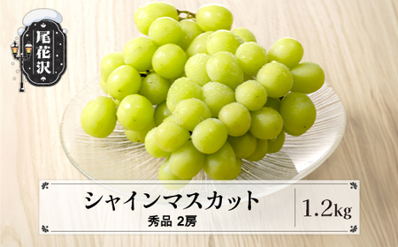先行予約  シャインマスカット ぶどう 秀品 1.2kg 2房 フルーツ 果物 2026年産 令和8年産 山形県産 送料無料 ※沖縄・離島への配送不可 ns-busmx1200-b