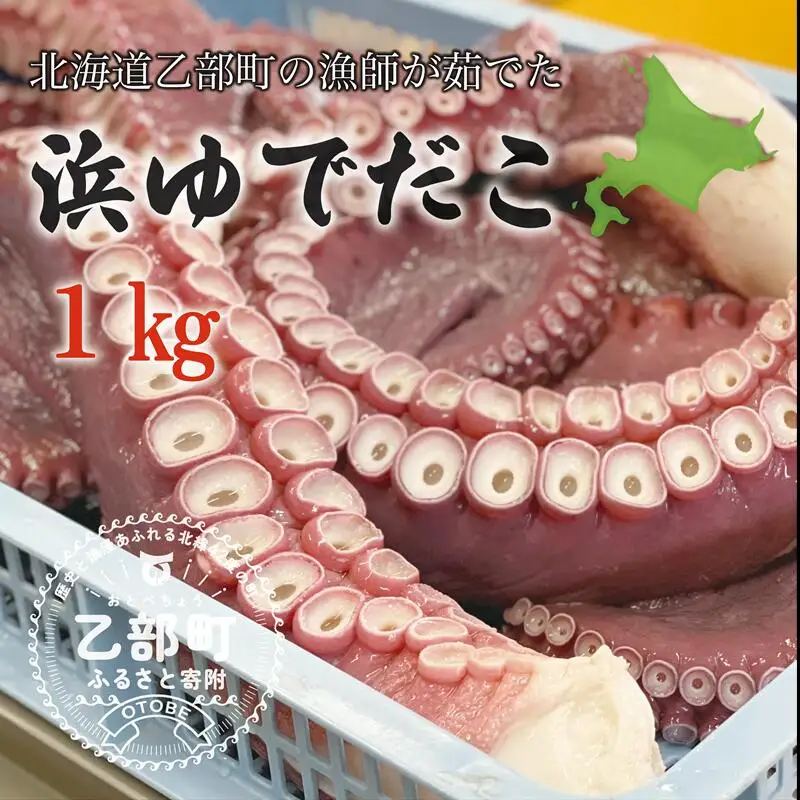 採れたてのタコを漁師が浜ゆで！食感絶妙 お刺身で【漁師の浜ゆでたこ：約1kg】＜ 北海道 道産 乙部町 いさり漁乙部町産 蛸 タコ たこ足 ミズダコ タコ 刺身 唐揚げ おかず おつまみ 真空パック お土産 グルメ 国産 食品 海鮮 刺身 一味 人気 おすすめ ＞