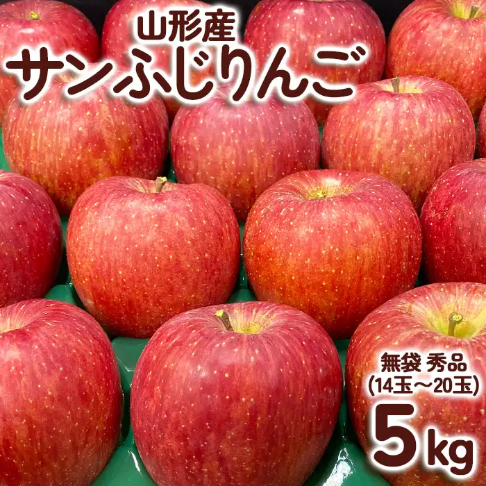 サンふじりんご 無袋 秀品5kg(14玉～20玉)【令和8年産先行予約】FS25-761
