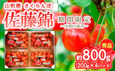 さくらんぼ【佐藤錦】約800g (200g×4パック) 期間限定～山形の恵み～ 【令和9年産先行予約】FS24-527くだもの 果物 フルーツ 山形 山形県 山形市 2027年産