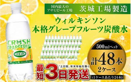 ウィルキンソン 本格グレープフルーツ炭酸水500ペット（2ケース）