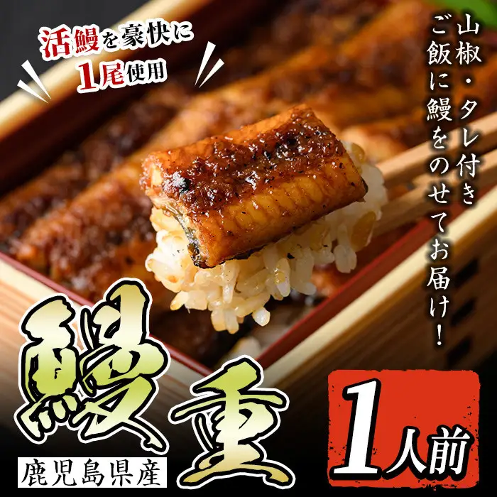i799 鹿児島県産 鰻重(1人前) うなぎ 鰻 ウナギ うな重 国産 鹿児島県産 おかず 晩御飯 特別な日 【とらふぐ家】