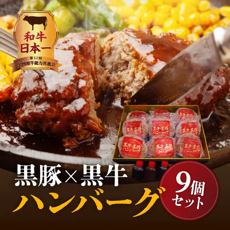 黒豚×黒牛ハンバーグ9個セット K098-005 肉 豚肉 牛肉 惣菜 総菜 冷凍