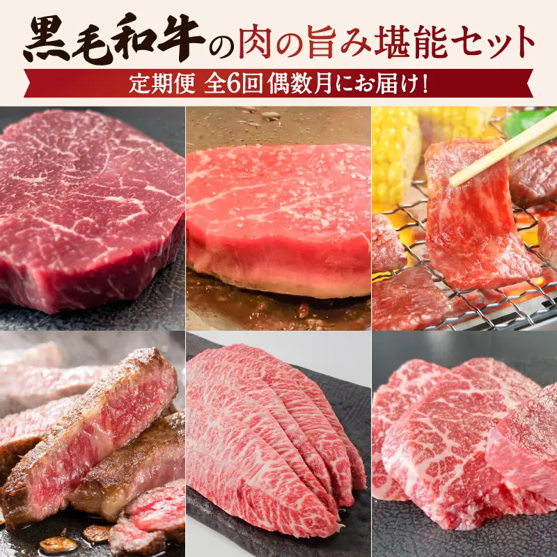 【全6回】黒毛和牛の肉の旨み堪能セット K098-T04 肉 牛肉 冷凍