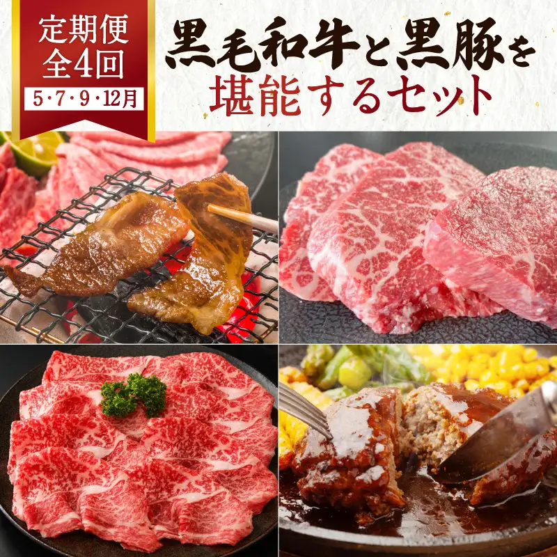 【全4回】黒毛和牛と黒豚を堪能するセット K098-T05 肉 豚肉 牛肉 冷凍