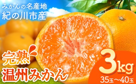 【先行予約】完熟 温州みかん 約3kg (35~40玉) こだまファーム